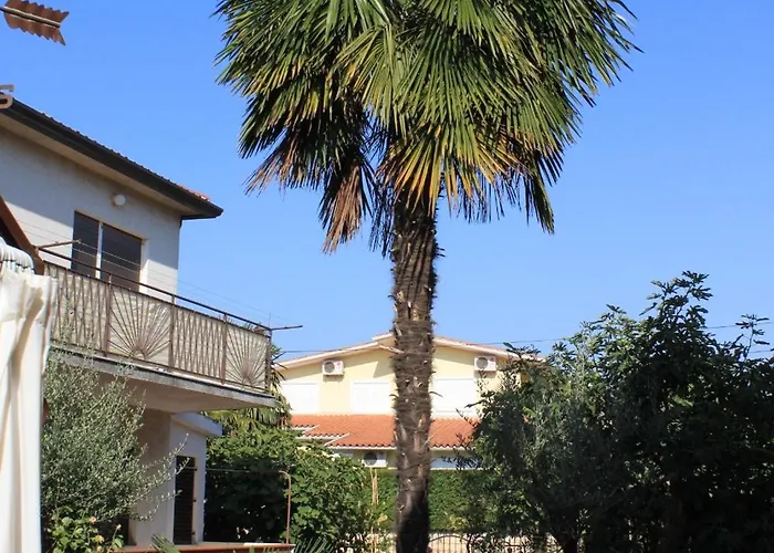 Apartman With Parking Space - 7039